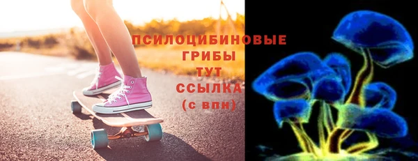 2c-b Бородино